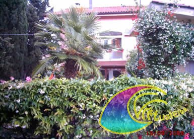 Procchio Appartamenti Agriturismo Provenzali